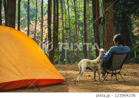 solo traveler in nature concept with asian man camping and see pink cherry blossom tree and pine tree with sunrise in springtime season 123064236