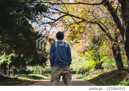 solo traveler in nature concept with asian man camping and sightseeing with pink cherry blossom tree in springtime season solo traveler in nature concept with asian man camping and sightseeing with pink cherry blossom tree in springtime season 123064241