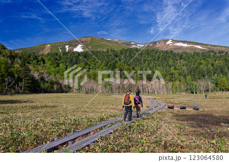 尾瀬ヶ原・山の鼻から見る残雪の至仏山 123064580