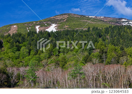 尾瀬ヶ原・山の鼻から見る残雪の至仏山 123064583