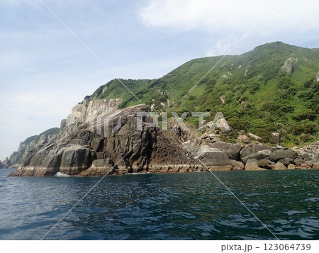 五島列島　男女群島の柱状節理 123064739