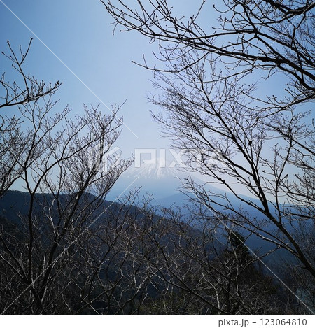 三方分山　トレッキング　富士山の眺め 123064810