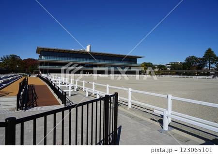 青空に映える馬事公苑のメインアリーナ 11月世田谷1250メインアリーナ・馬事公苑 青空に映える馬事公苑のメインアリーナ 11月世田谷1250メインアリーナ・馬事公苑 123065101