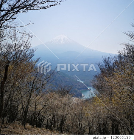 三方分山 山頂 富士山の眺め 三方分山 山頂 富士山の眺め 123065159