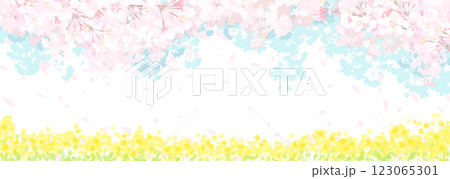 桜と春の空 菜の花畑 桜と春の空 菜の花畑 123065301