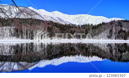 冬の青木湖と白馬連峰 冬の青木湖と白馬連峰 123065307