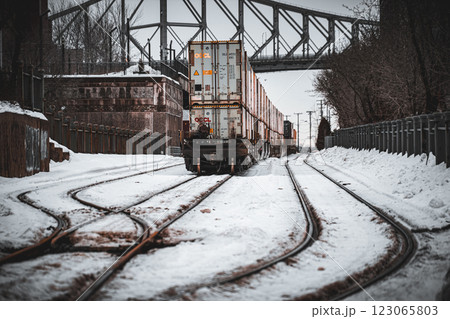 貨物列車と橋 貨物列車と橋 123065803