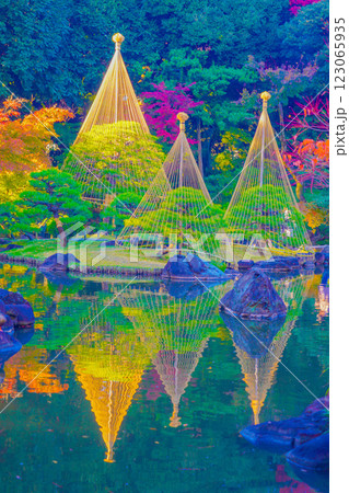 雪吊りと紅葉 雪吊りと紅葉 123065935