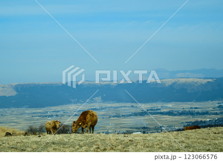 冬の阿蘇の風景 冬の阿蘇の風景 123066576
