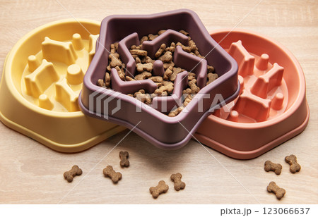 Slow feeding bowl containing dry pet food on wooden table 123066637