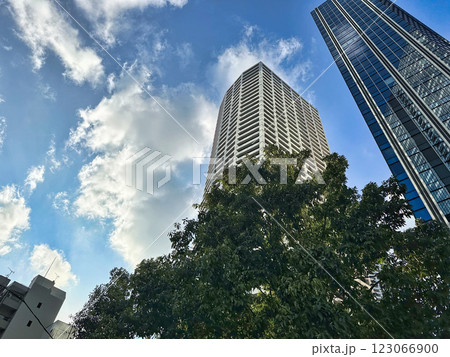都会の高層マンションと青空と白い雲、昼 123066900