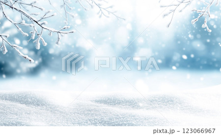 Tranquil Winter Scene With Snowflakes And Frosted Branches 123066967