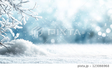 Serene Winter Landscape With Falling Snowflakes and Frosted Branches 123066968