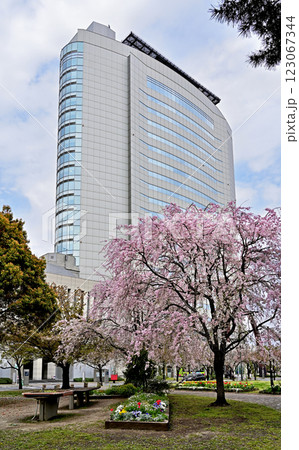 中山道高崎宿散歩：高崎市役所　庁舎　高崎城址公園 123067344