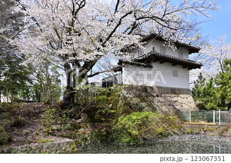中山道高崎宿散歩:高崎城乾櫓 高崎城址公園 中山道高崎宿散歩:高崎城乾櫓 高崎城址公園 123067351