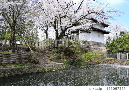 中山道高崎宿散歩:高崎城乾櫓 高崎城址公園 中山道高崎宿散歩:高崎城乾櫓 高崎城址公園 123067353