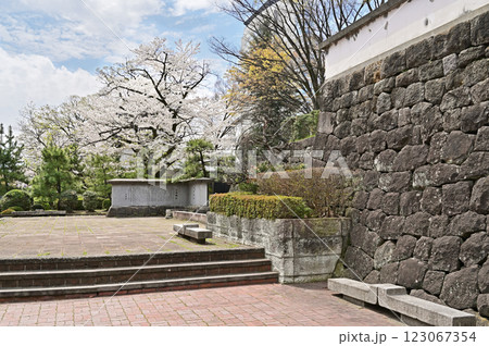 中山道高崎宿散歩：高崎城址碑　高崎城址公園 123067354