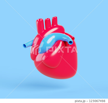 3d anatomy human heart medical cartoon render icon. Anatomical red muscle organ of circulatory system for health and cardiology concept. Isolated cardiac with aorta and blue veins. 3D illustration 123067498