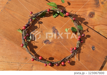 赤いナンテンの実のリース 赤いナンテンの実のリース 123067800