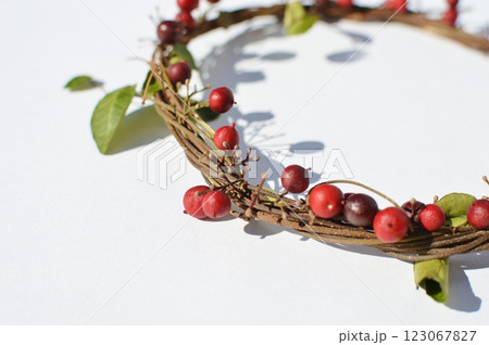 赤いナンテンの実のリース　　　　 123067827