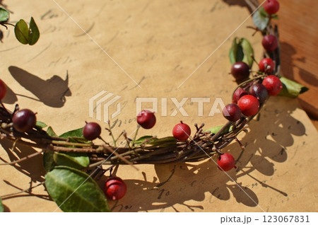 赤いナンテンの実のリース　　　　 123067831