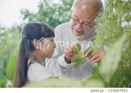 Asian young attractive girl and grandfather standing beside a green potted plant at home held, World Environment Day concept 123067952