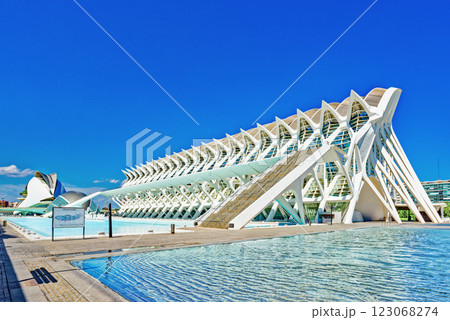 City of Arts and Sciences. Valencia. 123068274