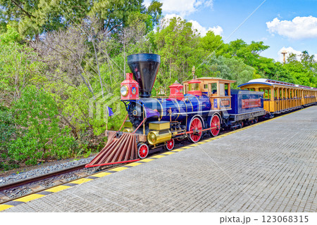 Ride train in an amusement park. 123068315