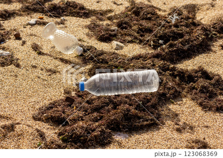 Dirty beach with seaweed and empty plastic bottles 123068369