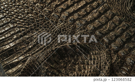 Texture of alligator black color skin. 123068582