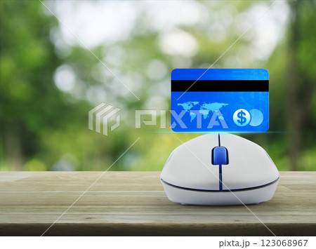 Online e-payment concept, Elements of this image furnished by NASA Online e-payment concept, Elements of this image furnished by NASA 123068967