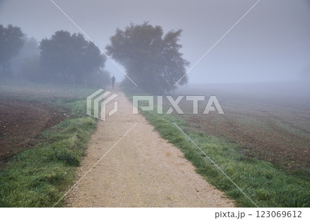 Solitary figure walking on foggy rural path 123069612