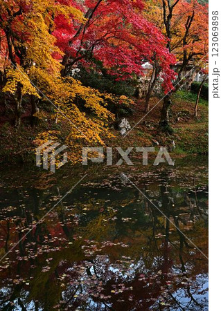 秋の洞光寺 123069898
