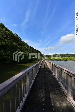 大浦マングローブロードより 123070369