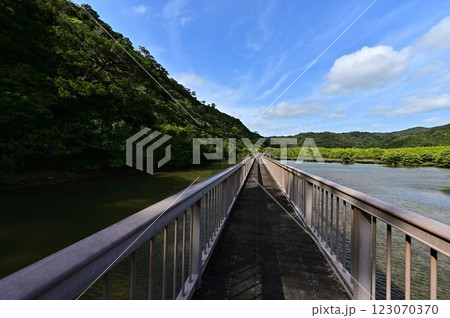 大浦マングローブロードより 123070370