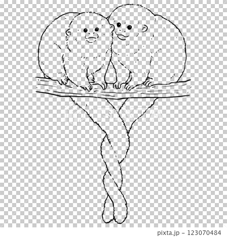 可愛いボリビアハイイロティティのイラスト　線画 123070484