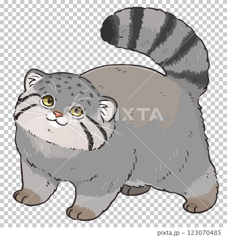可愛いマヌルネコのイラスト 123070485