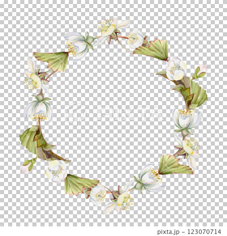 Spring white apple cherry sakura flowers buds leaves, forest cloudberry anemone primrose ephemera, hand drawn in watercolor. Wreath frame isolated illustration, for wedding, florist shop, scrapbooking Spring white apple cherry sakura flowers buds leaves, forest cloudberry anemone primrose ephemera, hand drawn in watercolor. Wreath frame isolated illustration, for wedding, florist shop, scrapbooking 123070714