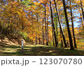国指定史跡名勝・霊山寺跡に広がるカラマツ林の紅葉 123070780
