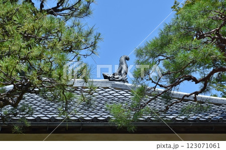 哲学堂公園は異次元の建物が数多くある 123071061
