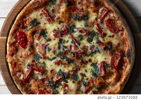 Delicious Italian pizza Mozzarella Delicious Italian pizza Mozzarella 123071088