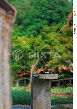 水道のある風景 123071122