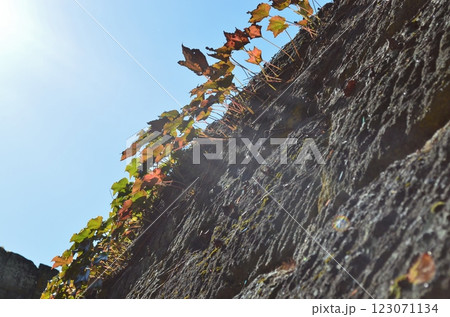 かつての鶴ヶ城は奥州の玄関口として交通の要衝にあった 123071134