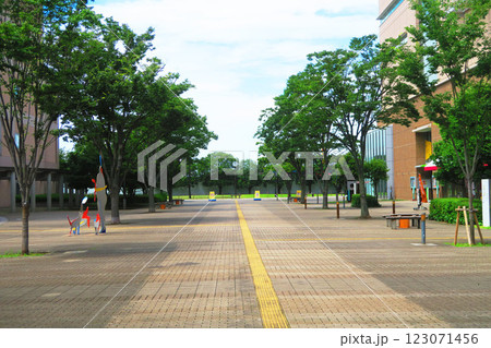 埼玉県川口市のSKIP CITYの風景(2024年撮影) 埼玉県川口市のSKIP CITYの風景(2024年撮影) 123071456