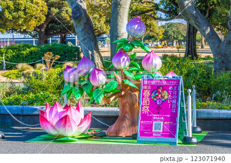 日本の横浜都市景観2月春節祭。山下公園・ワーフハウス前などを望む。左奥に氷川丸＝令和7年2月13日 123071940
