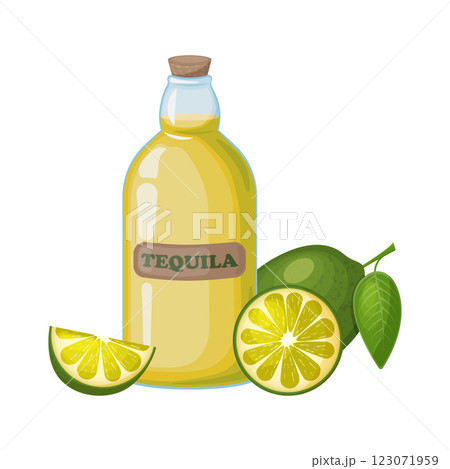 Tequila. The illustration shows a bottle with tequila and sliced lime. Strong alcoholic drink. A bottle of tequila and lime. Vector illustration. Tequila. The illustration shows a bottle with tequila and sliced lime. Strong alcoholic drink. A bottle of tequila and lime. Vector illustration. 123071959