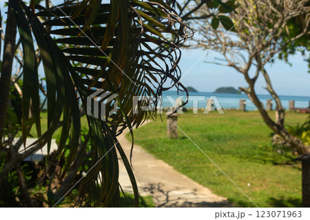 Palm Leaves on Blurred Sea Beach View Travel Background 123071963