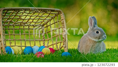 Gray rabbit sitting on green grass next to a tipped-over wicker basket filled with colorful Easter eggs, symbolizing Easter celebrations. Gray rabbit sitting on green grass next to a tipped-over wicker basket filled with colorful Easter eggs, symbolizing Easter celebrations. 123072293