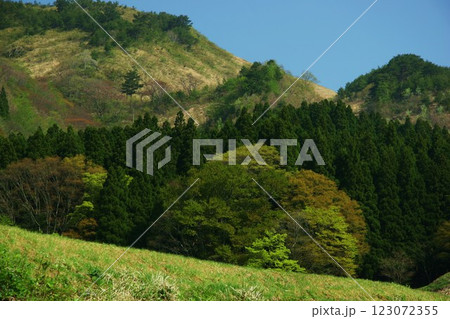 新緑と山と青空 123072355