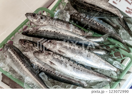 市場で売られているニシン目の生イワシ【鰯」 123072990